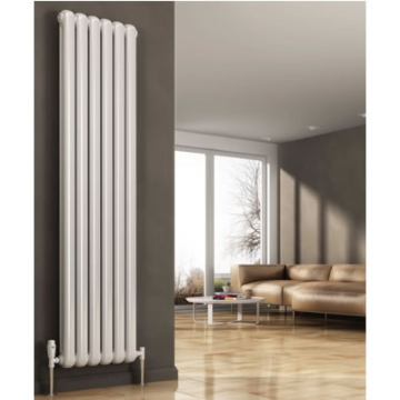 Reina Coneva Vertical Radiators in RAL Colour Finishes
